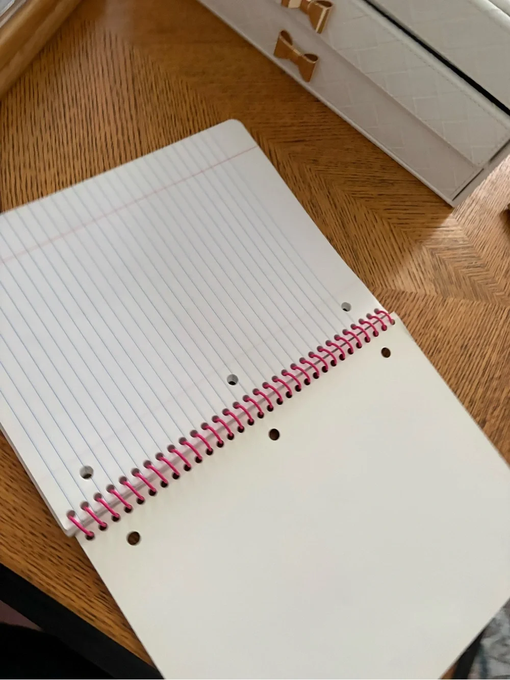 Lisa Frank Hunter Leopard Notebook